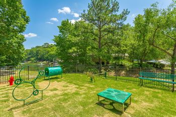 Pet park with agility equipment